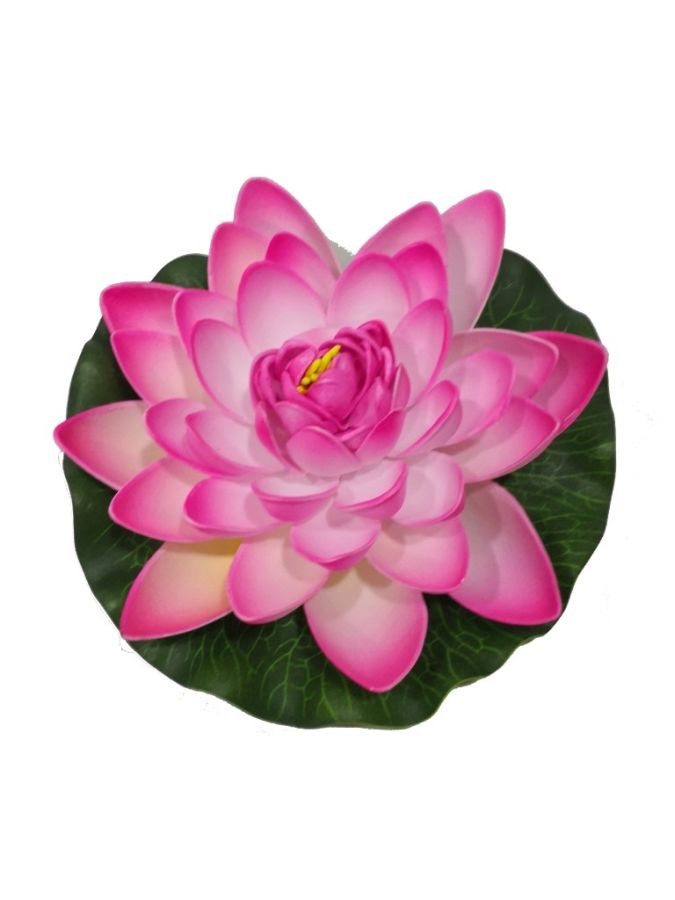 Gomaeva rosa 17cm?1787631891