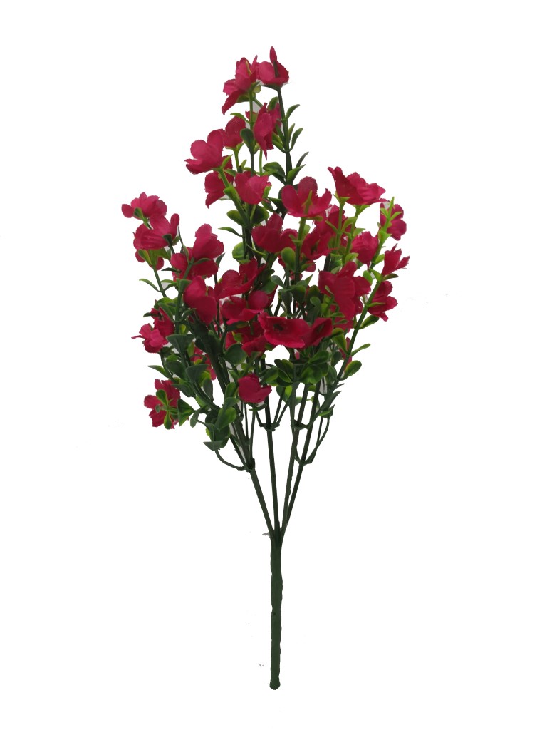 5头小雨草 32CM 泡粉?1787607675