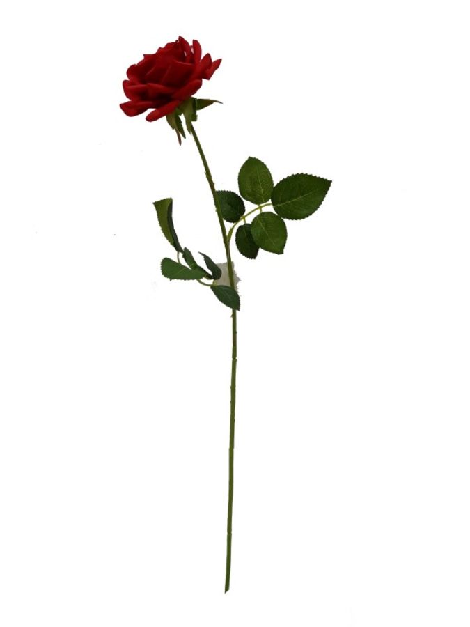 Rosa Silicona Rojo 65cm?1787604059