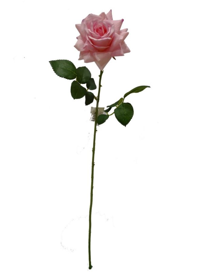 Rosa Silicona Rosa 65cm?1787600532