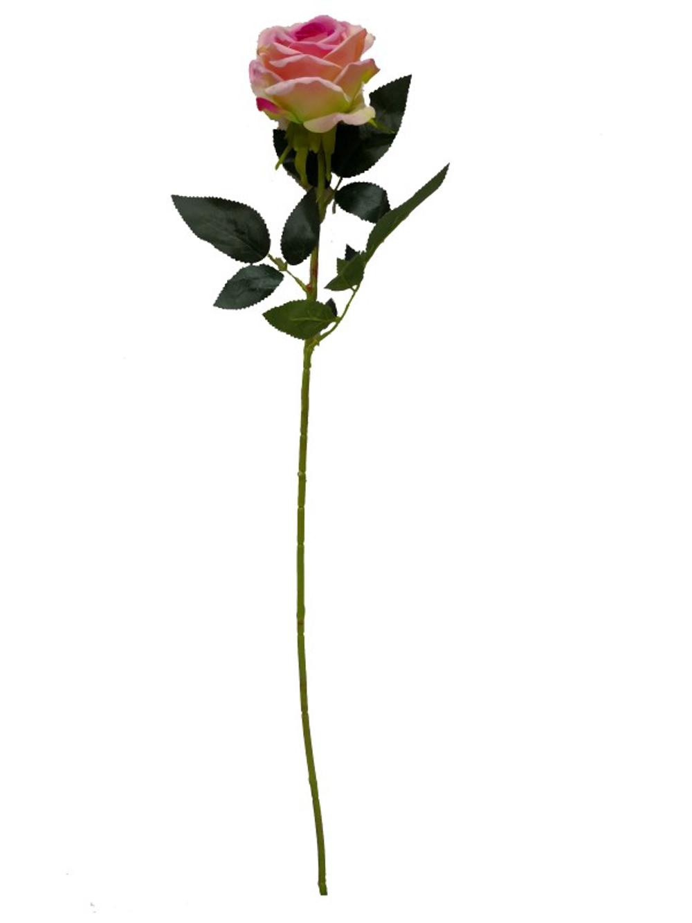 Rosa 75cm beige y rosa?1787608351