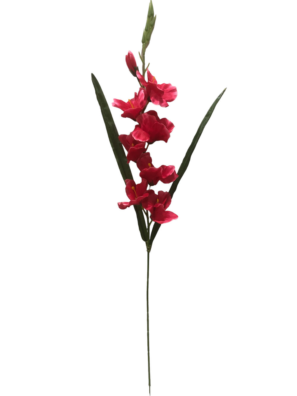 Vara gladiolo 75cm color fucsia?1787618558