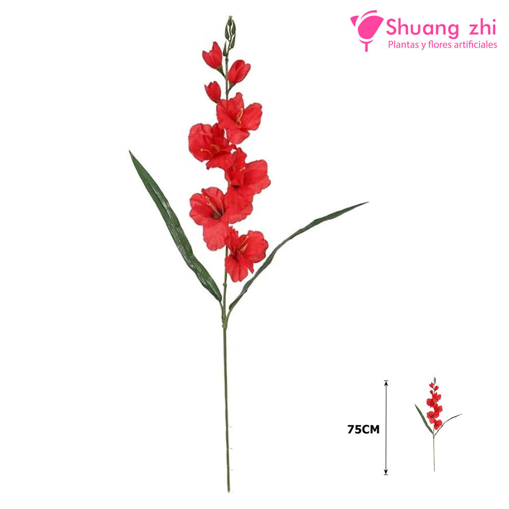 Vara gladiolo 75cm color Rojo?1787605321