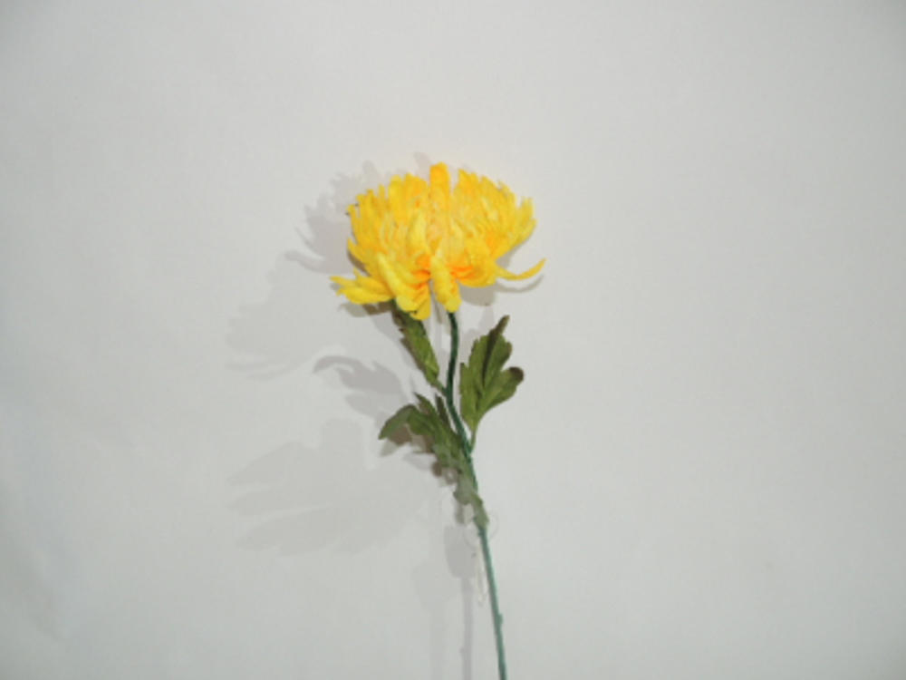 秋单支菊花 黄?1787616100