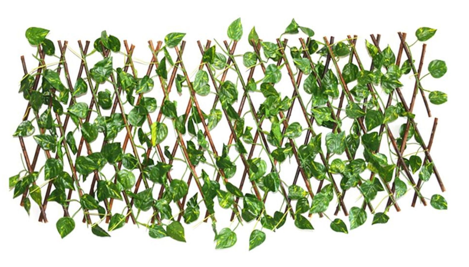 Barrera 70CM Hoja pequeña?1787710285