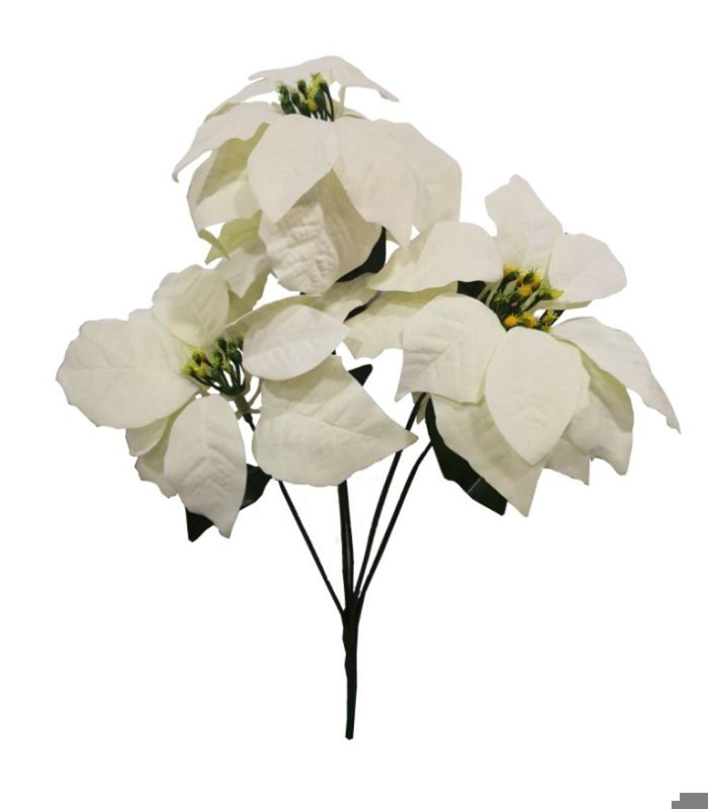 FlorPascua