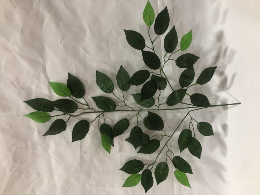 Rama hoja verde?1787620895