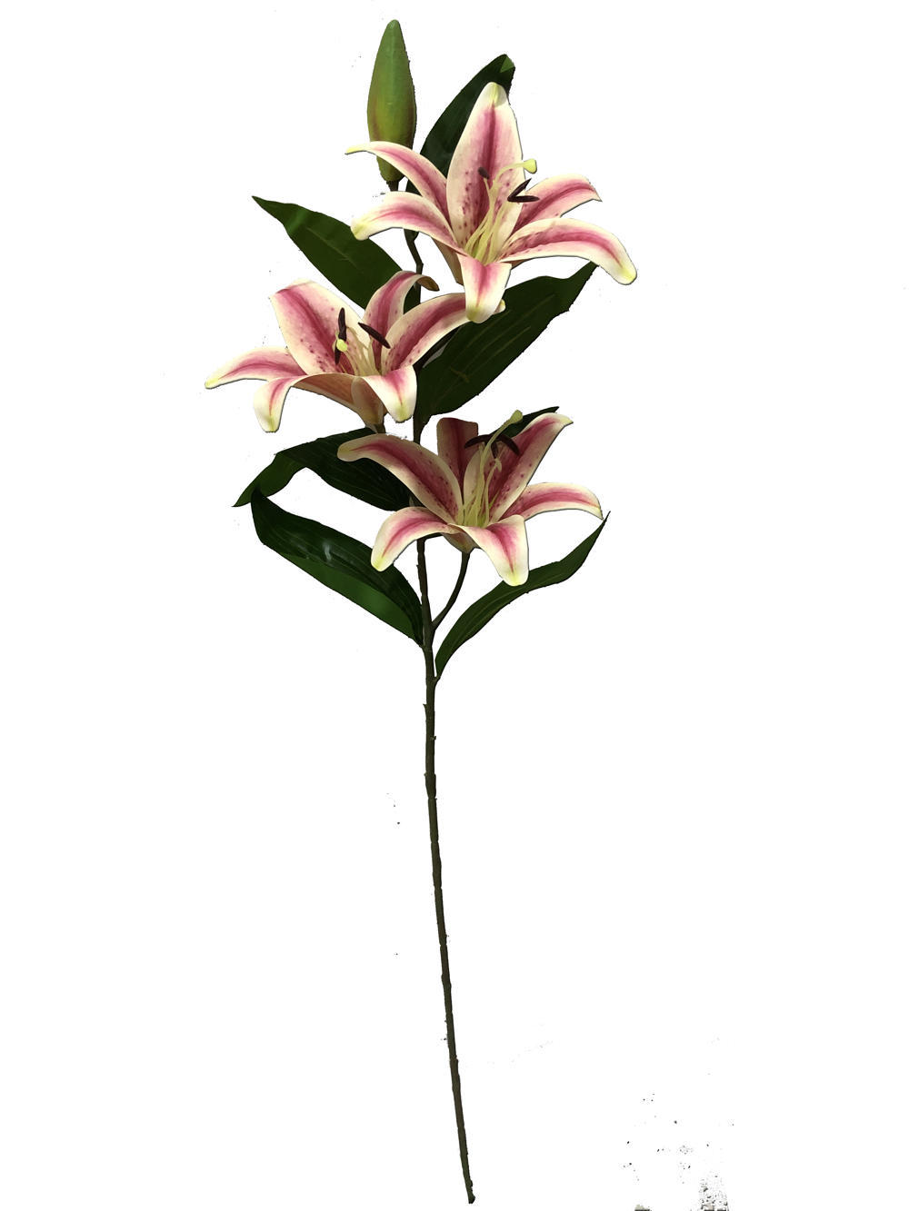 Flor Lirio 100CM Color Champan?1787635847