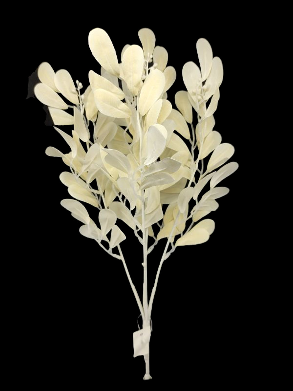 Rama hoja color Beige?1787623749