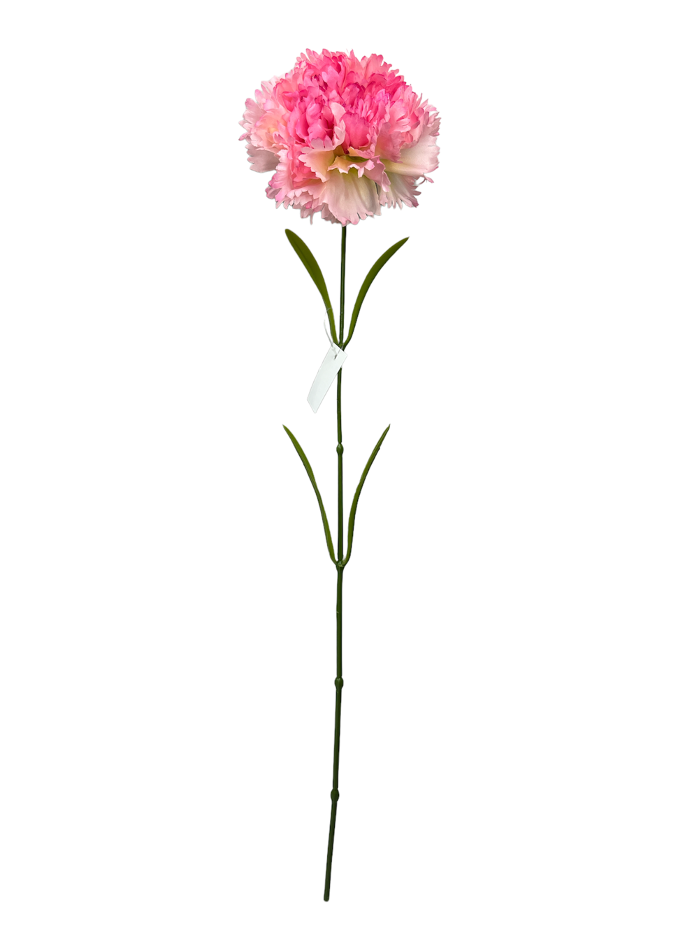 Flor larga 60CM CLAVEL Color Fucsia?1787610059