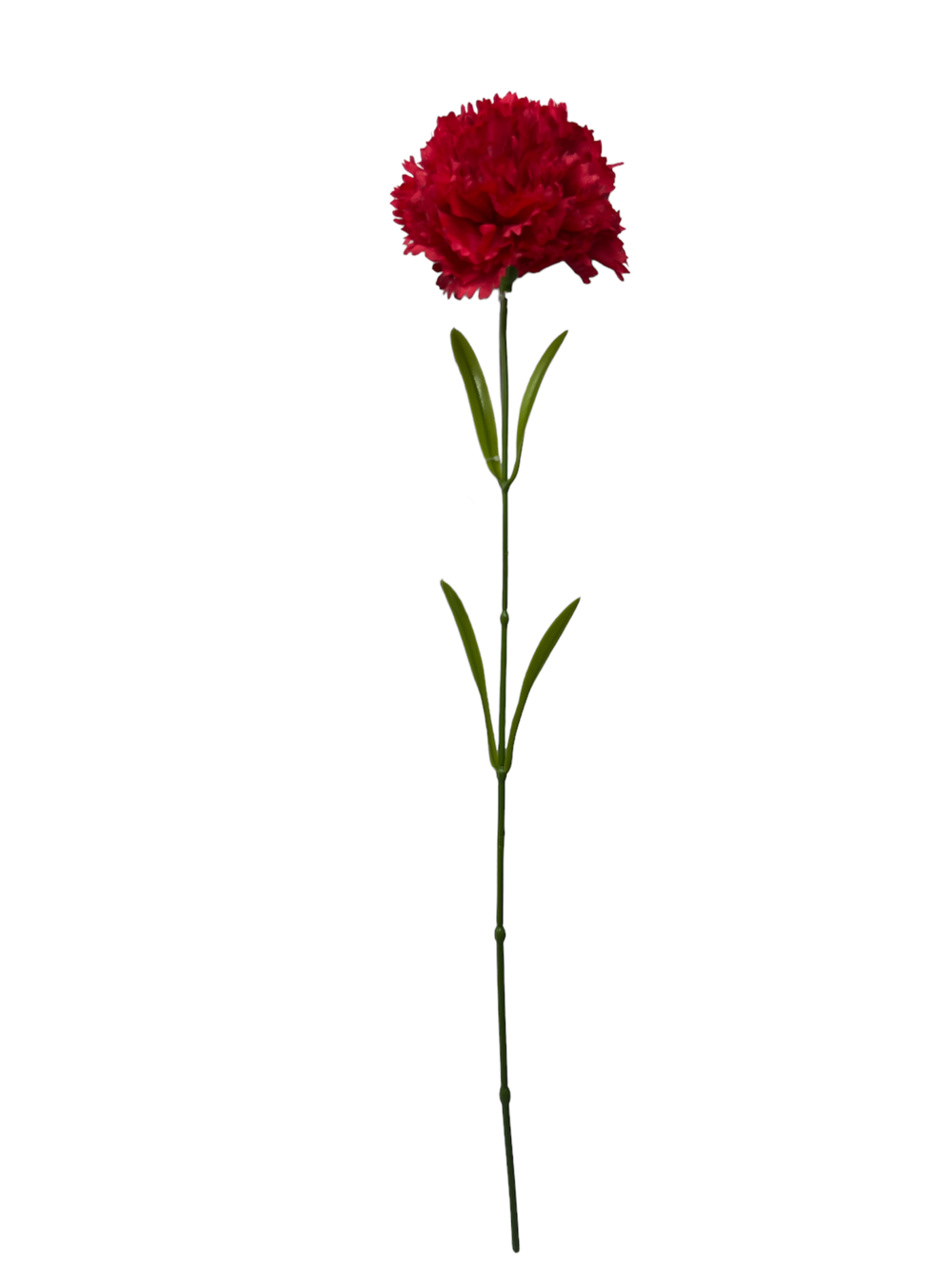Flor larga 60CM CLAVEL Color Rojo?1787630956