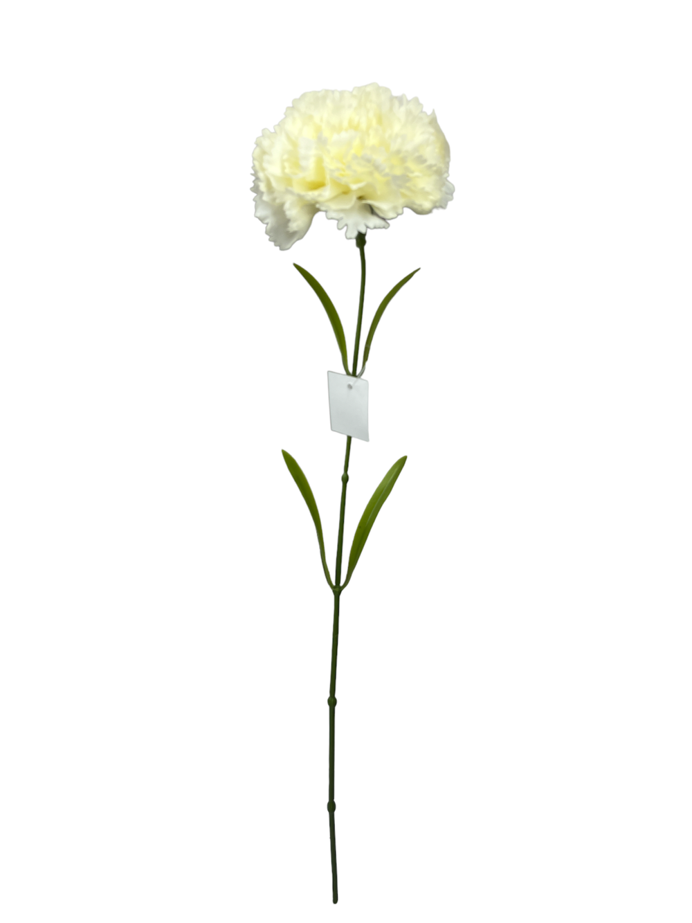 Flor larga 60CM CLAVEL Color Beige?1787597417