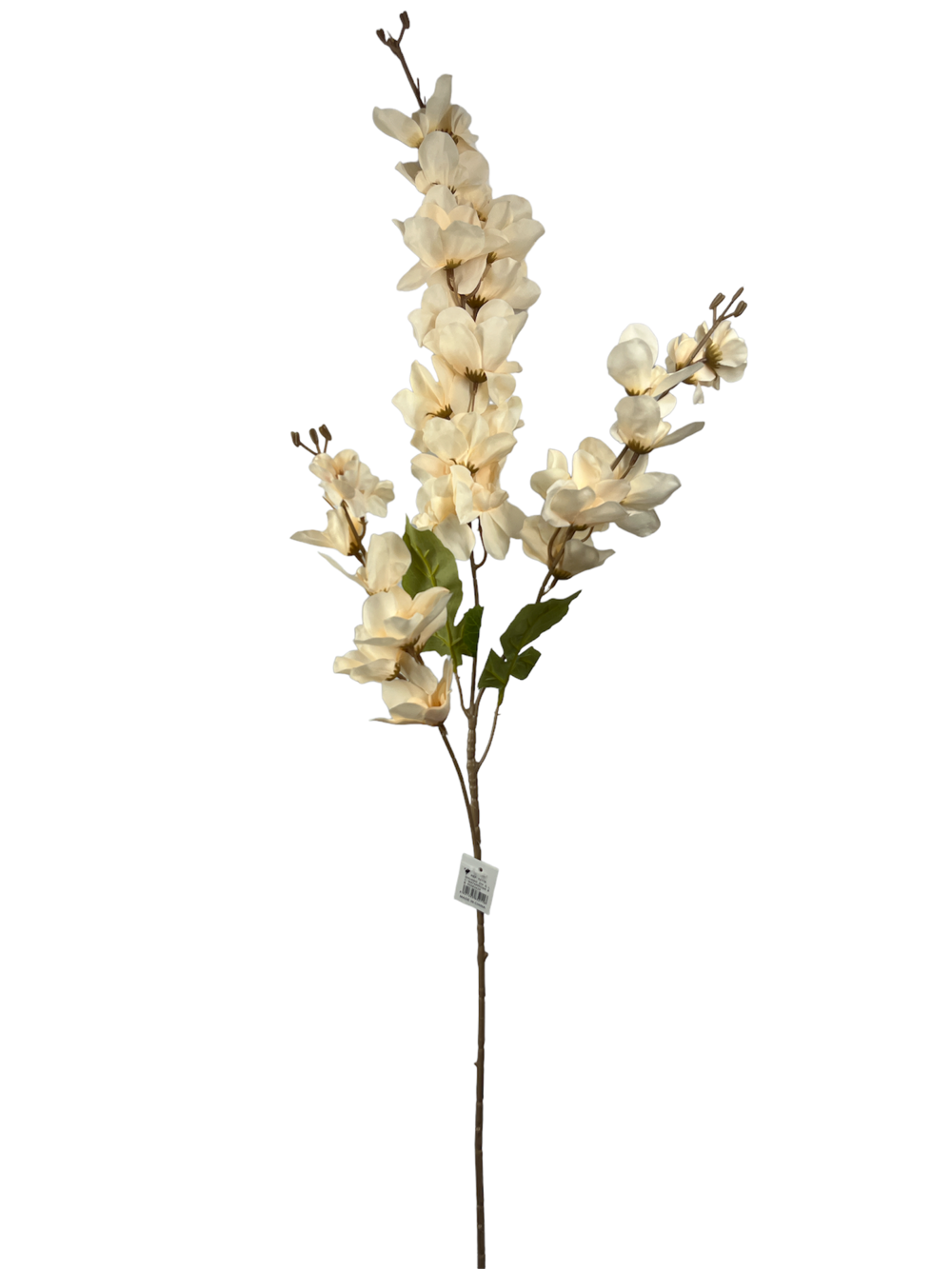 For larga 100CM JACINTO/HIACINTO Color Beige?1787635935