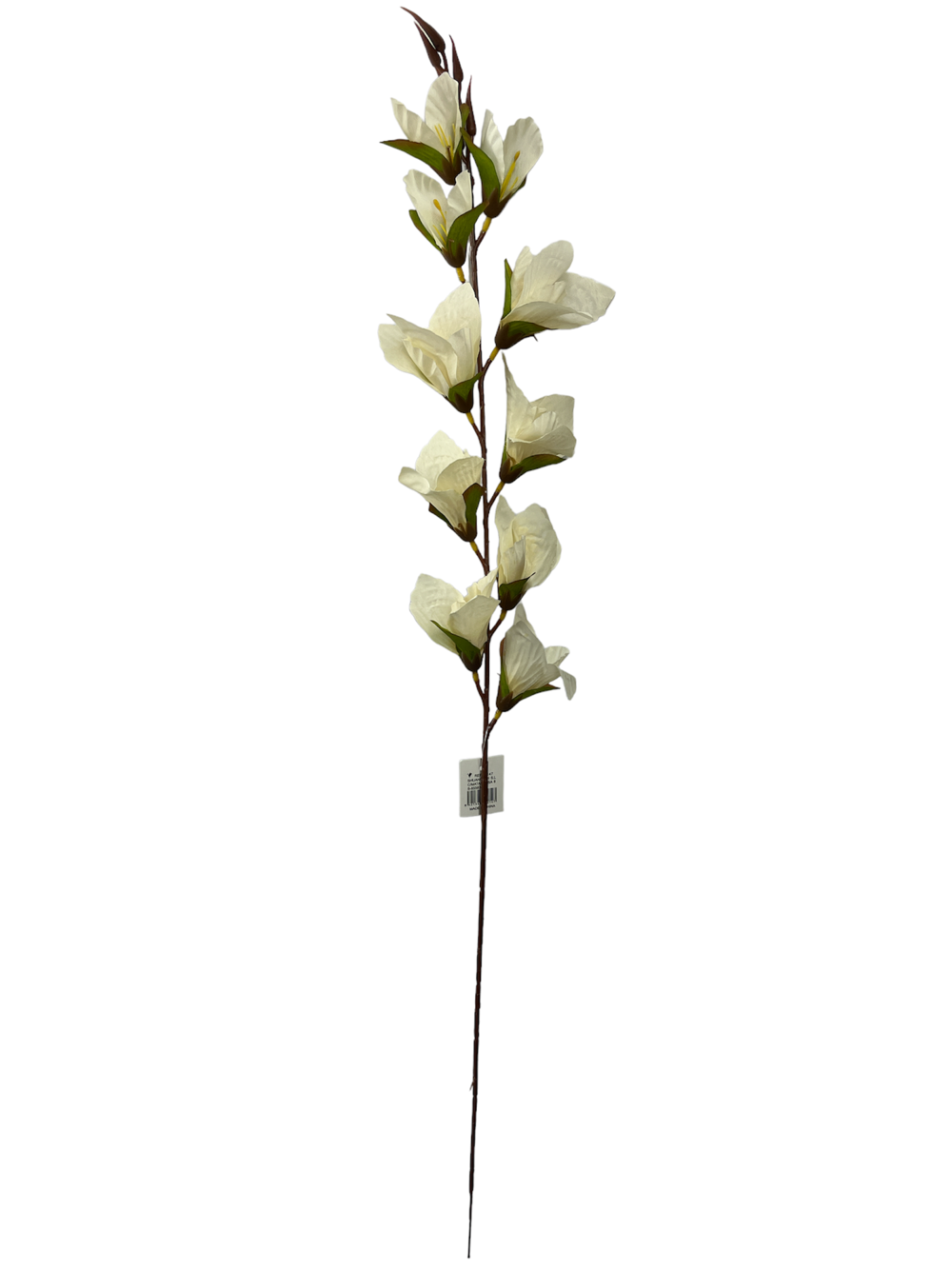 Flor larga XXCM GLADIOLO Color Blanco?1787627134