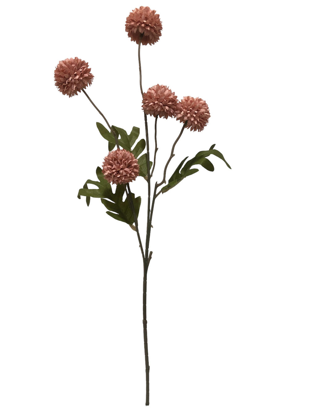 Flor larga Diente de León 50CM 5 Cabezas Modelo ?1787617615