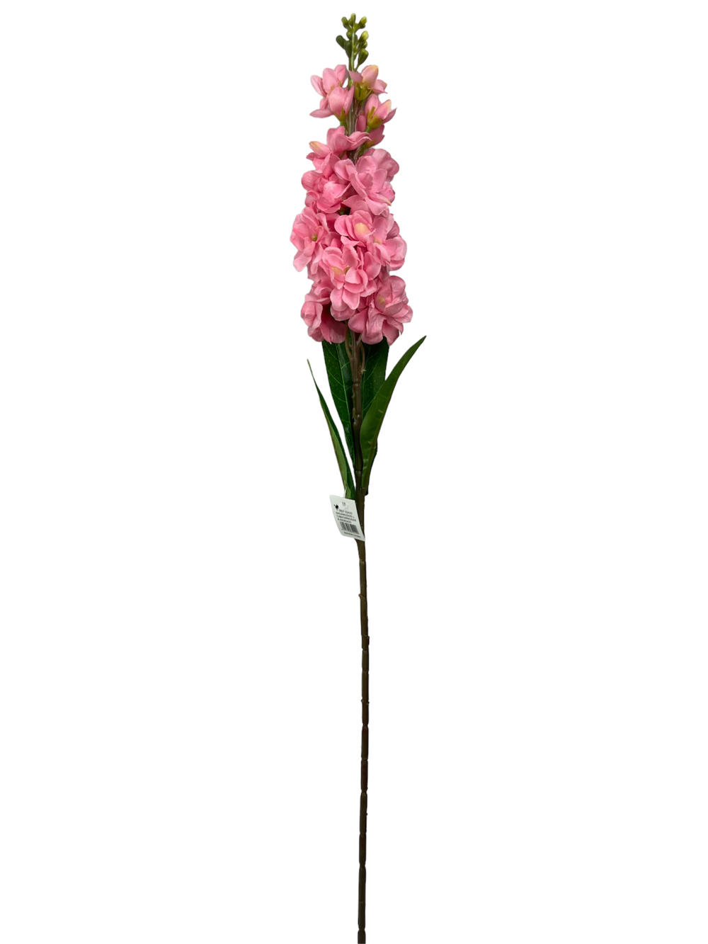 For larga 80CM JACINTO/HIACINTO Color Fucsia?1787597807