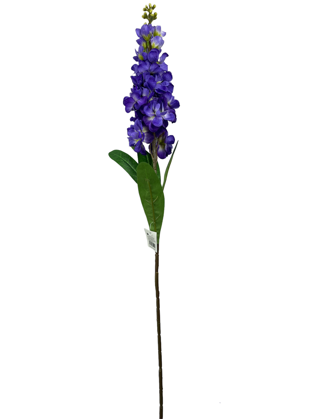 For larga 80CM JACINTO/HIACINTO Color Morado?1787616900