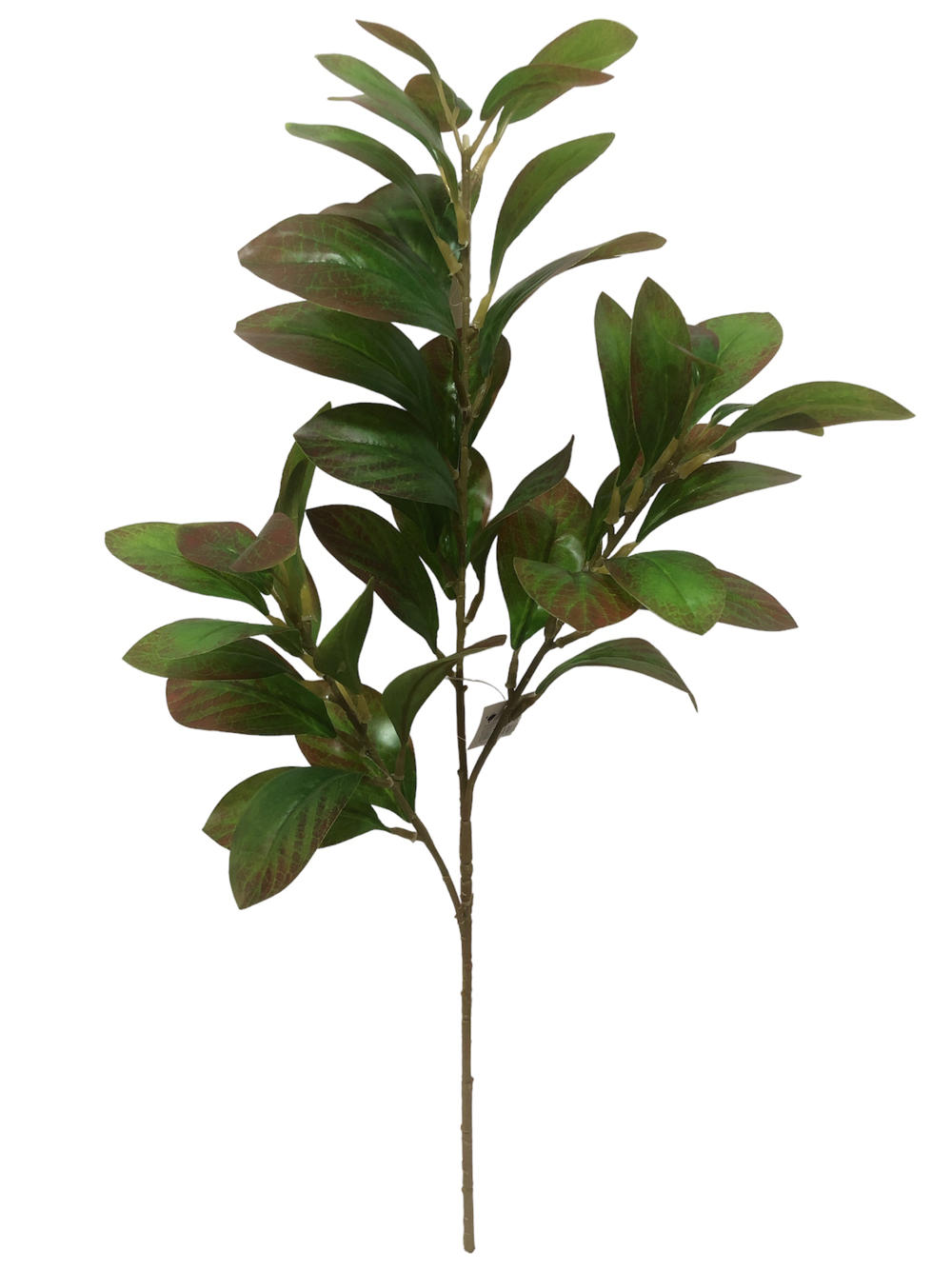 Rama Hojas 68CM Modelo Verde/Marró?1787727846