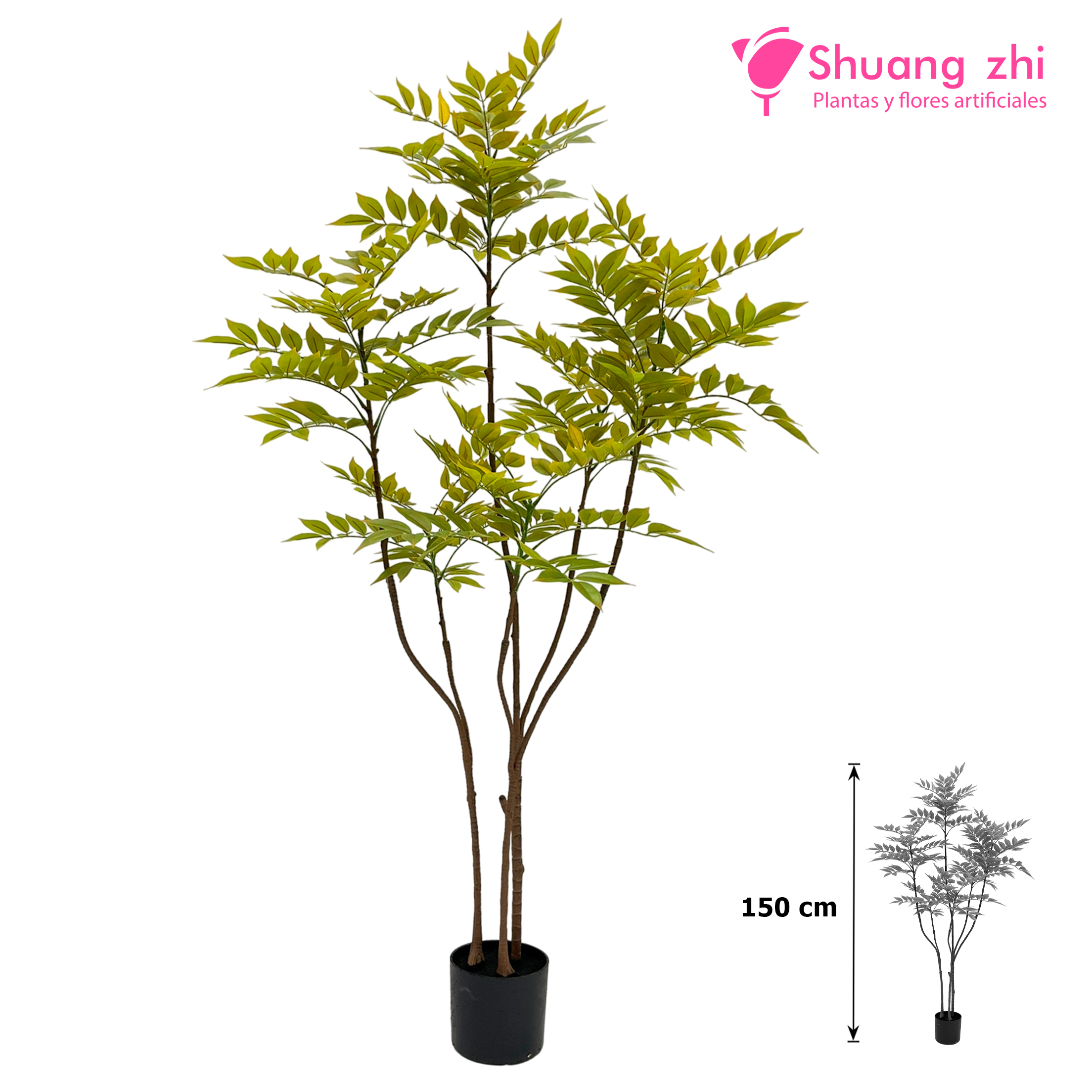 Planta Ficus Hoja Calidad 150CM?1787618478
