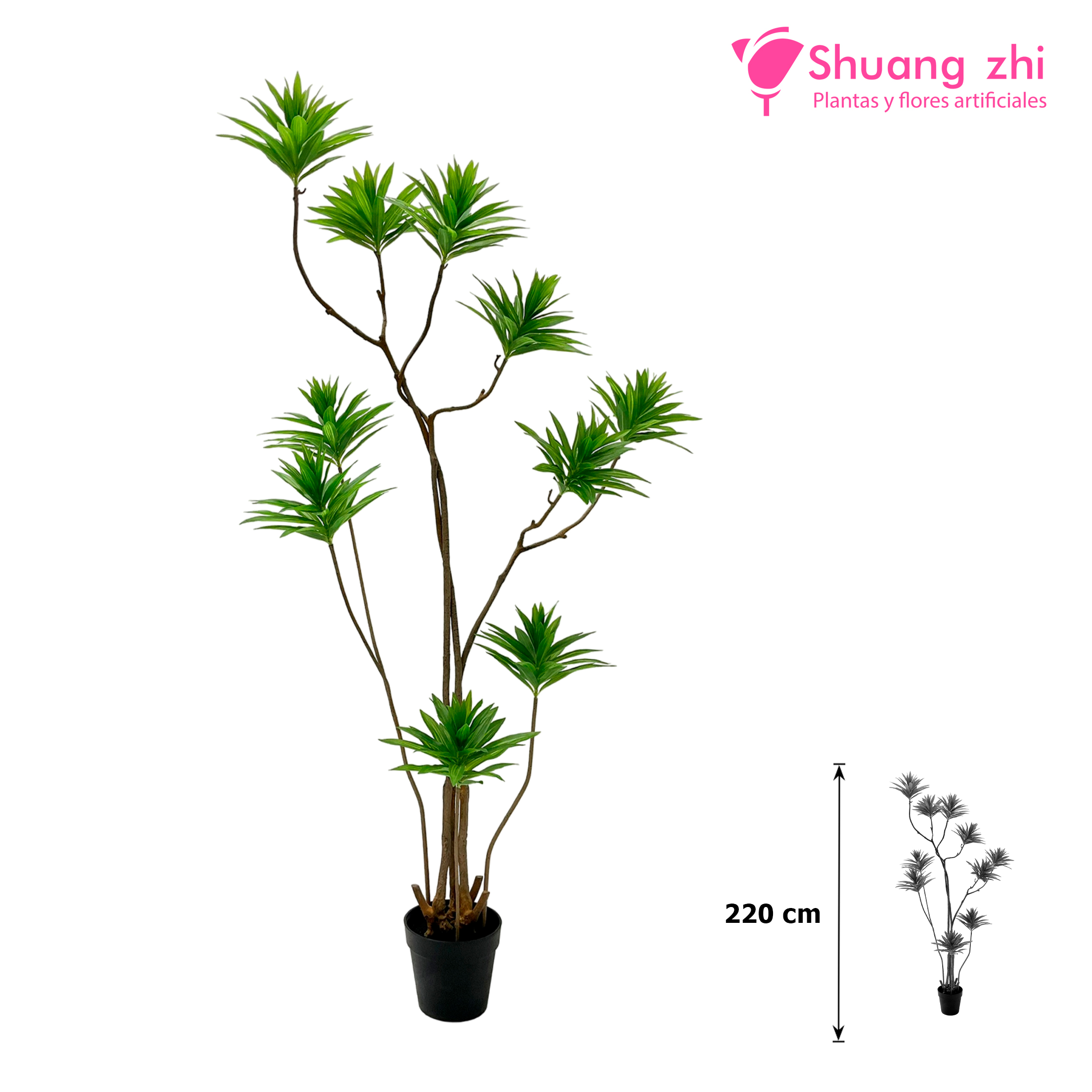 Planta Dracena Hoja Calidad 220CM?1787636209