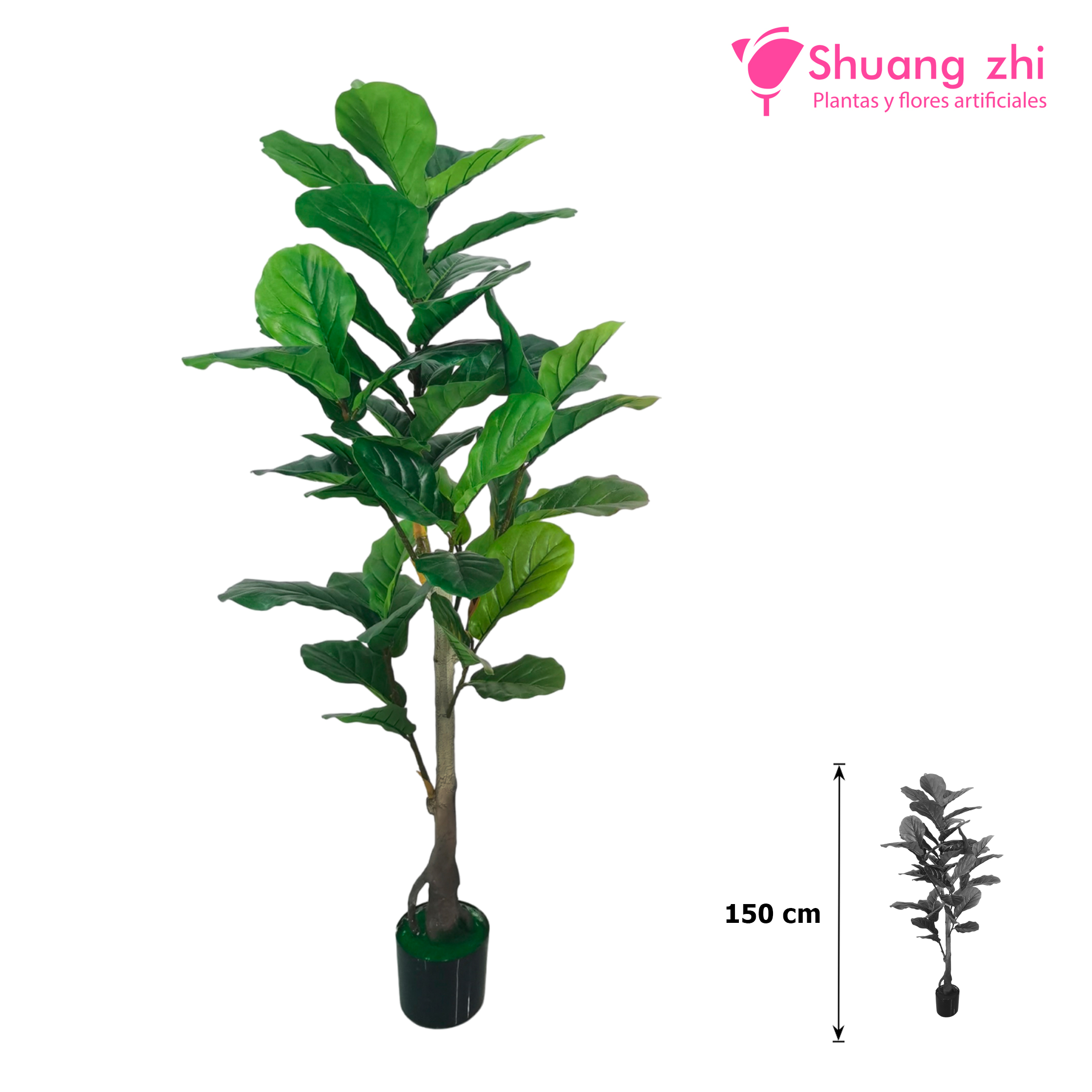 Planta Ficus Lyrata Hoja Calidad 150CM Ref: 745?1787593497