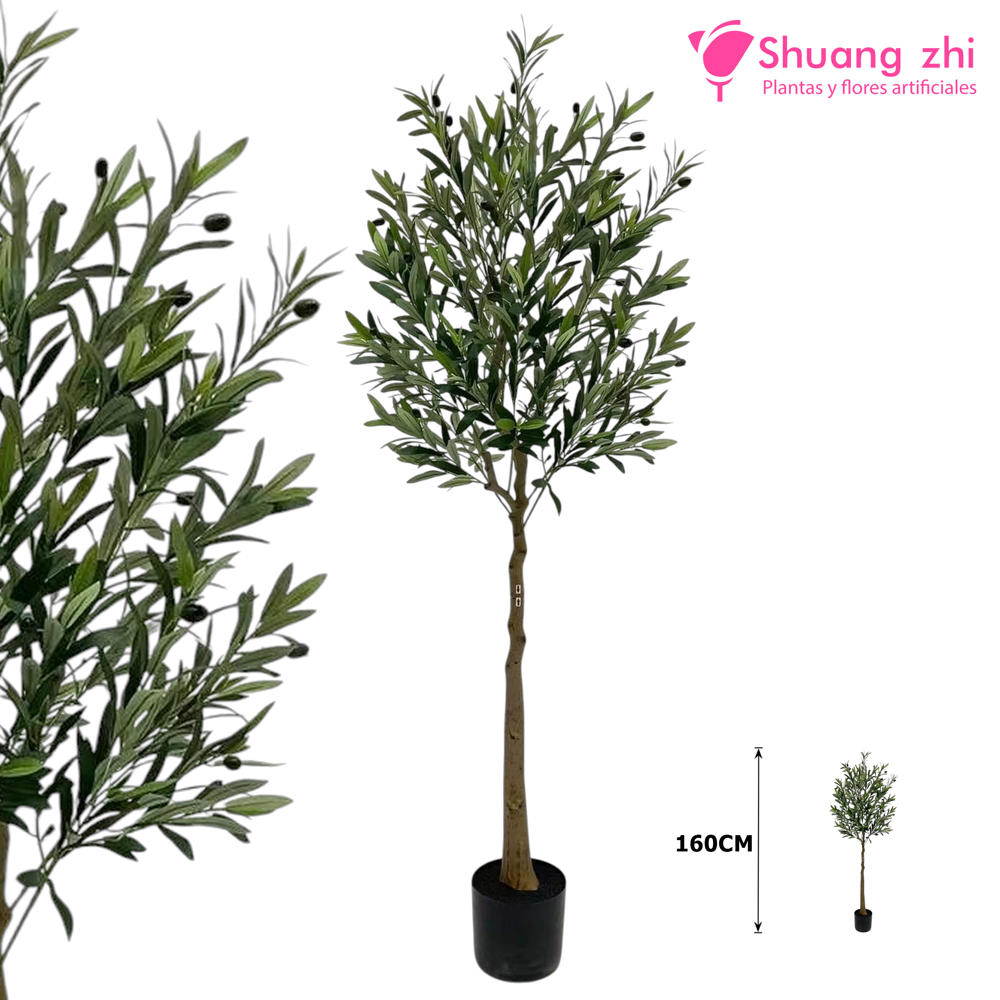 Planta de Olivo 160CM?1787600802