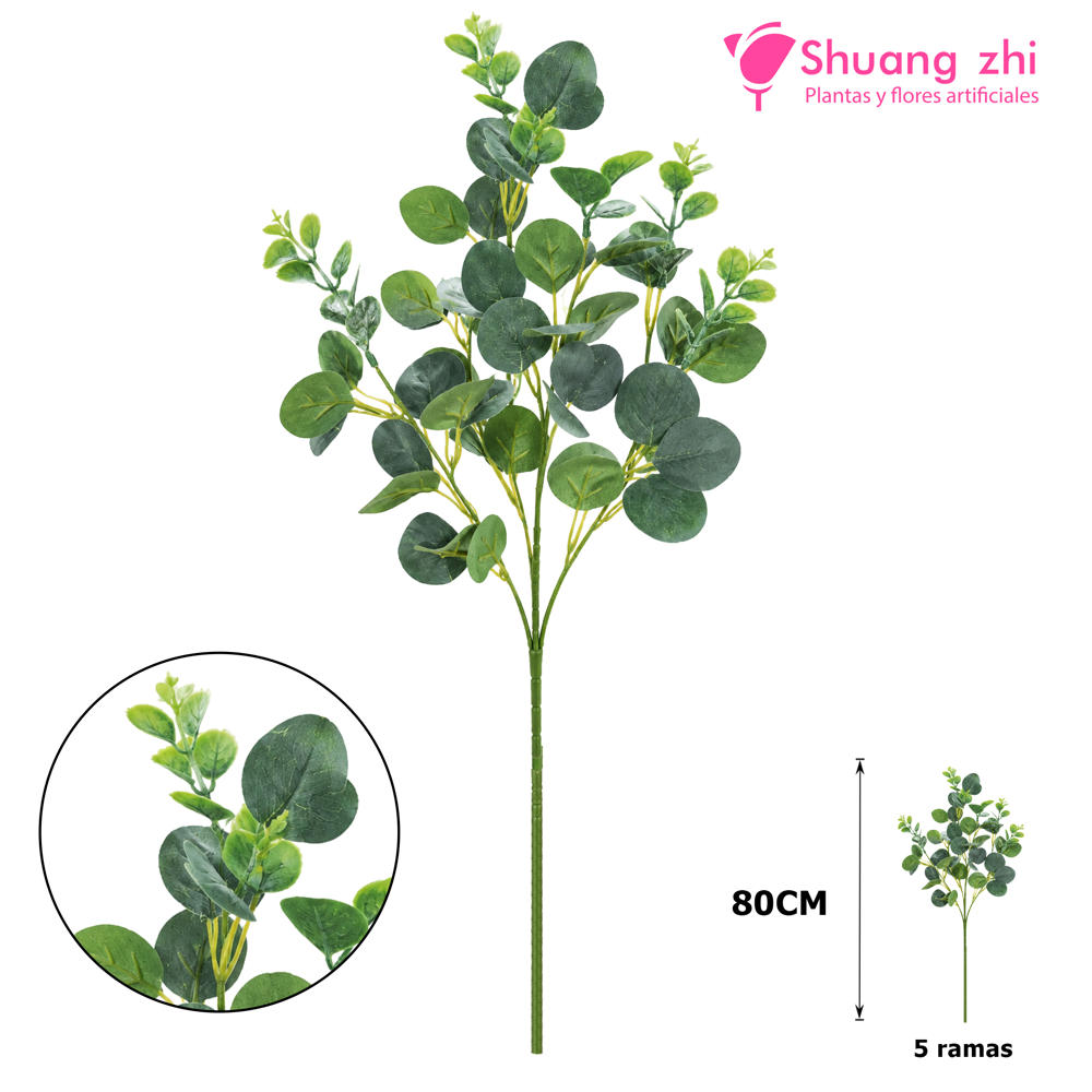 Vara Larga Eucalipto 80CM 5 ramas Verde?1790826795