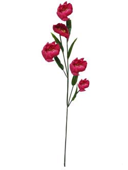Flor larga 5 cabezas 100cm color fucsia