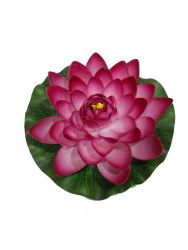 Gomaeva fucsia 17cm
