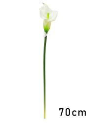 Calla lily 70cm blanco