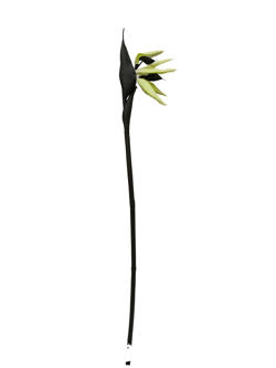 Flor en vara mod_3 90cm