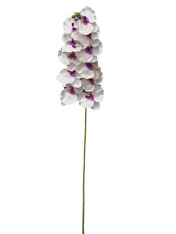Orquídea 100cm blanco con morado