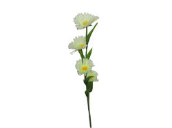 4头雏菊 白 100cm