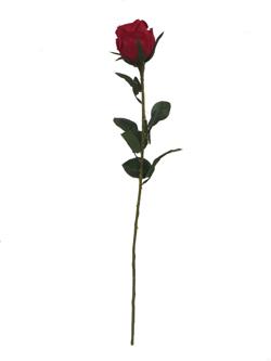 Rosa Larga xxcm color rojo