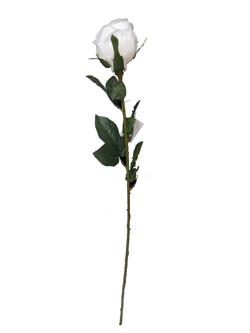 Rosa Larga xxcm color blanco