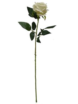 Rosa 75cm blanca