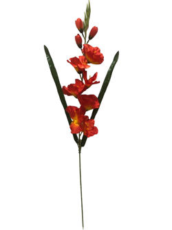 Vara gladiolo 75cm color Naranja