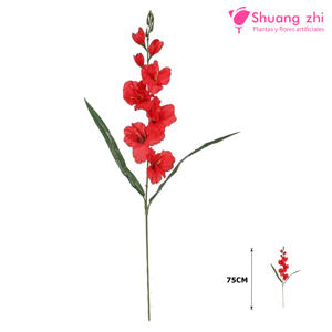 Vara gladiolo 75cm color Rojo