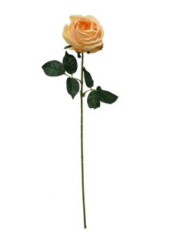Flor Rosa 75cm color crema