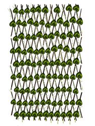 Barrera Hoja grande 120CM M2