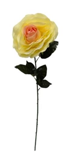 Rosa 75cm alto x 25 diametro color amarillo