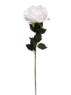Rosa 75cm alto x 25 diametro color blanco