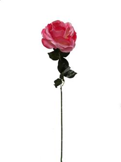 Rosa 75cm alto x 25 diametro color rosa