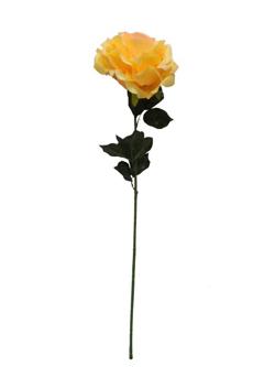 Rosa 75cm alto x 25 diametro color amarillo