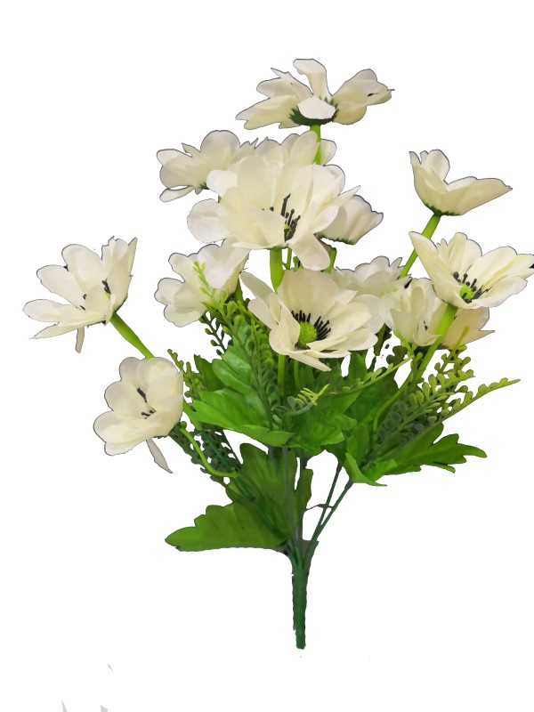 双色太阳菊X3 36CM 奶白