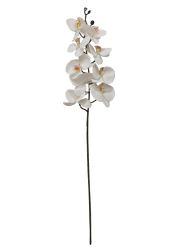 Orquidea silicona 100cm color blanco