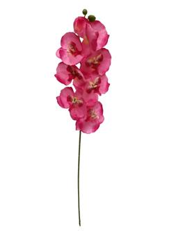 Orquidea 67cm color fucsia