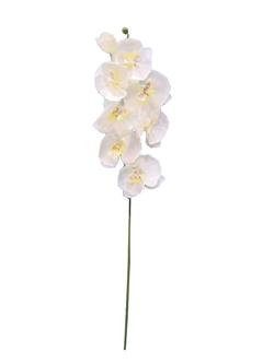 Orquidea 67cm color blanco