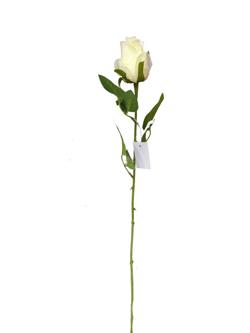 Flor larga 63cm color beige