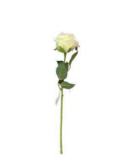 Flor larga 50cm color beige